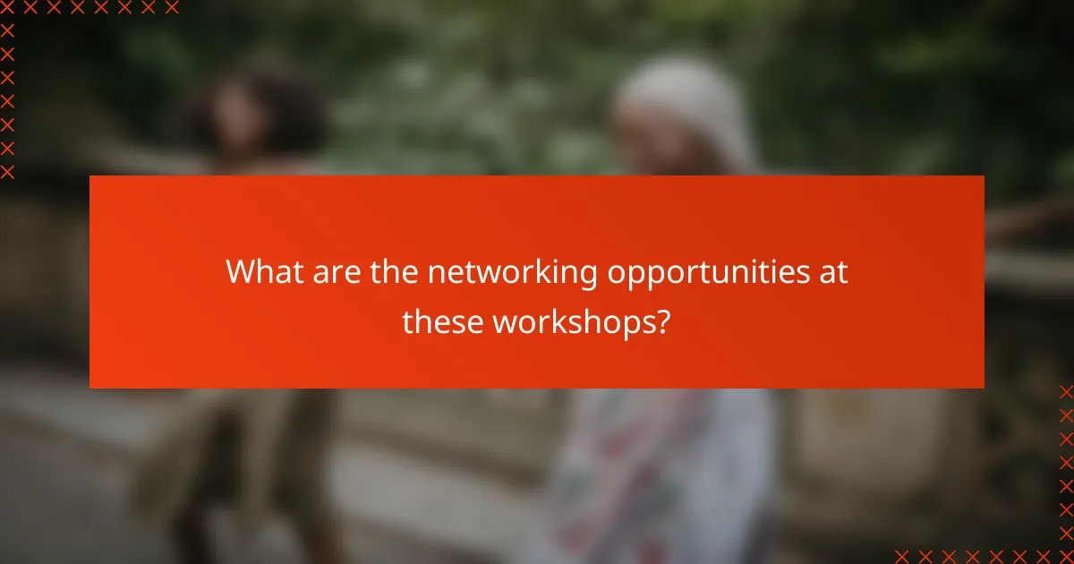 What are the networking opportunities at these workshops?