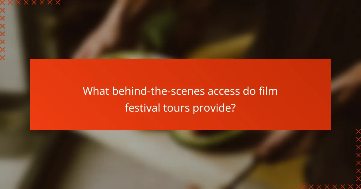 What behind-the-scenes access do film festival tours provide?