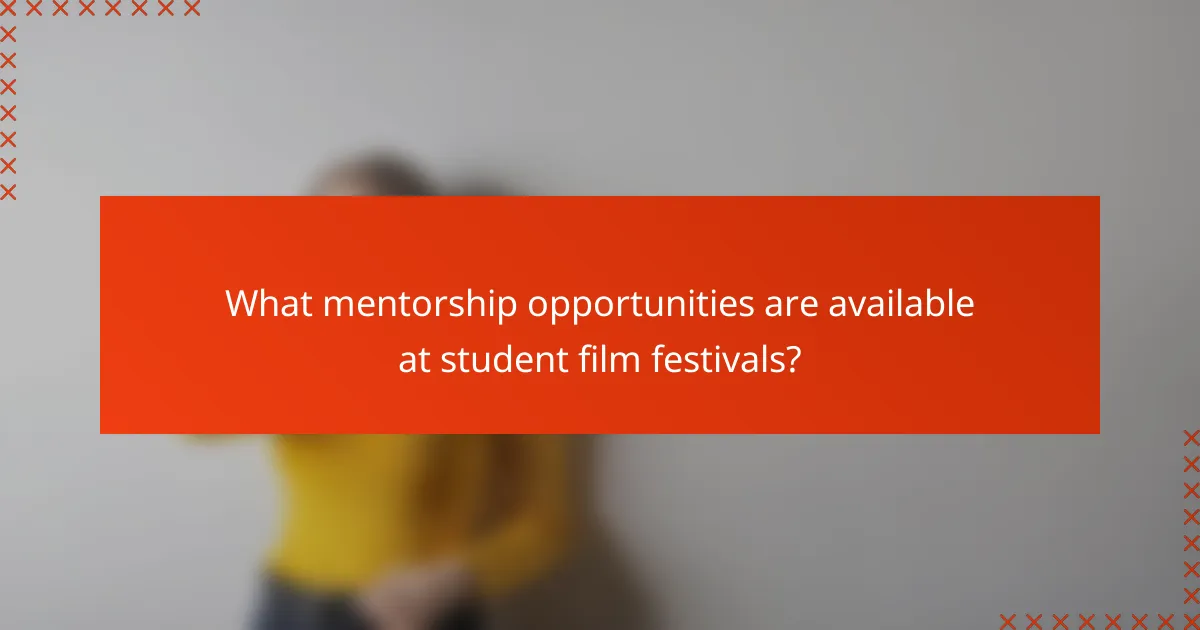 What mentorship opportunities are available at student film festivals?